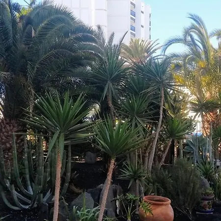 Cactus Apartment Maspalomas  Exterior photo