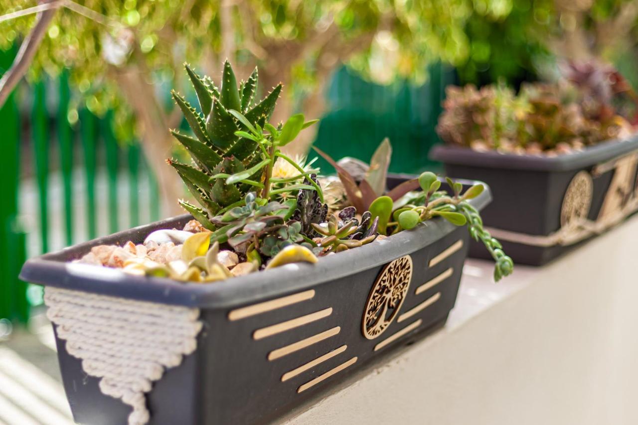 Appartamento Cactus Maspalomas (Gran Canaria)